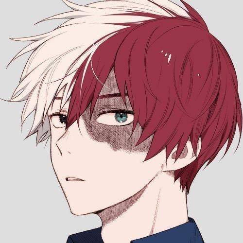 Shoto todoroki stans i need more pfps pls these are the ones i have so far and I don't need half nak