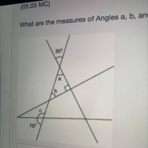60

School
M/J Grade 7 Mathematics V14, Beth Wendel ( 4027/ S)
(05.05 MC)
What are the measures of