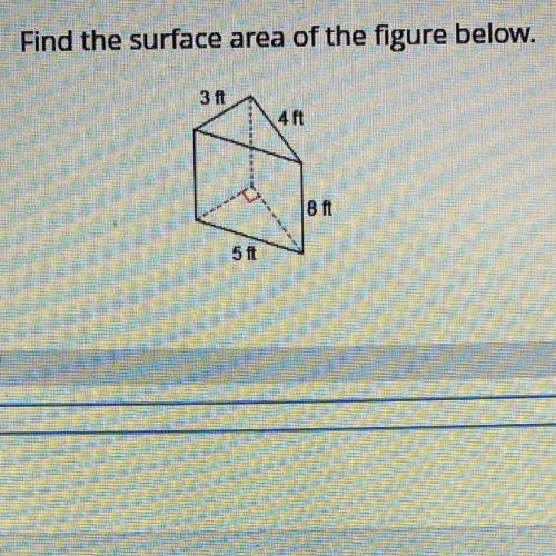 Can someone pls help with this question ?!