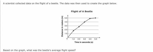 A scientist collected data on the flight of a beetle. The data was then used to create the graph be