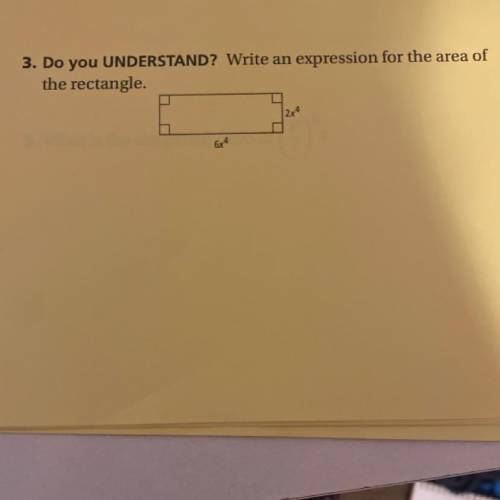3. Do you UNDERSTAND? Write an expression for the area of
the rectangle.
1
2x4
6x4