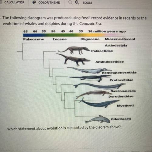 Which statement about Evolution is supported by the diagram above?