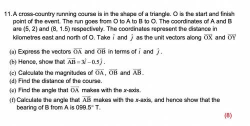 PLEASE HELP ME, bit of a long one. Its on vectors. 40 points for completion