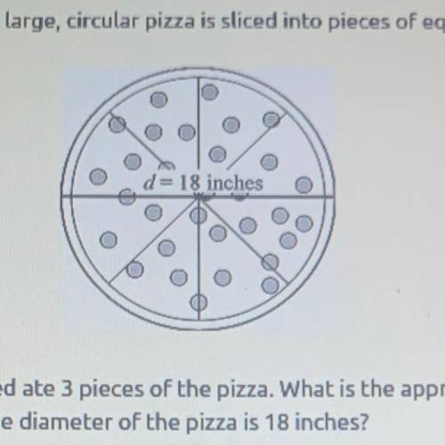 A large, circular pizza is sliced into pieces of equal size, as shown below.

Ted ate 3 pieces of