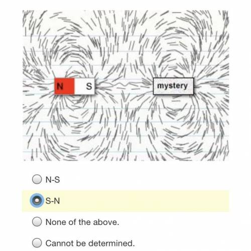 Based on the magnetic field lines shown what is the orientation of the mystery magnet ?