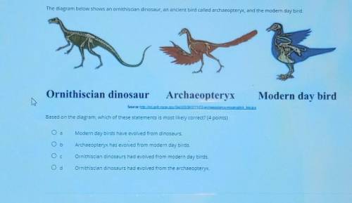 The diagram below shows an ornithiscian dinosaur, an ancient bird called archaeopteryx, and the mod