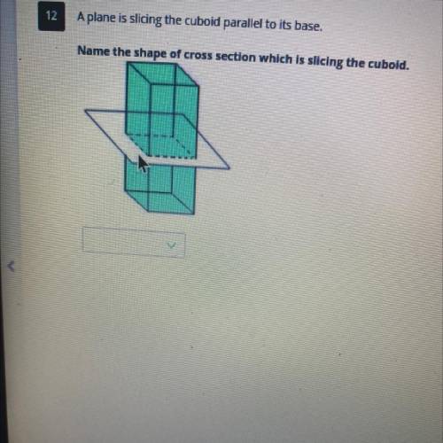 A plane is slicing the cuboid parallel to its base. Name the shape of cross section which is slicin