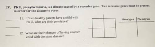 PKU, phenylketonuria, is a disease caused by a recessive gene. Two recessive genes must be present