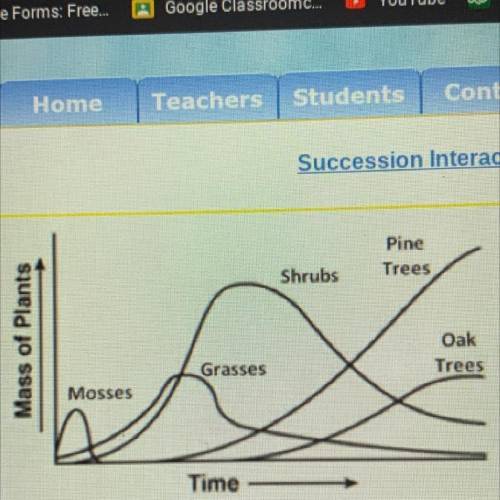 Pine

Trees
Shrubs
Mass of Plants
The graph to the left
illustrates the mass of
different types of