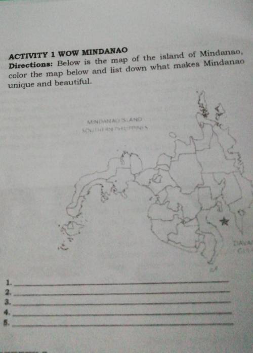 ACTIVITY I WOT MINDANAO

Directions: Below is the map of the island of Mindanao.color the map belo