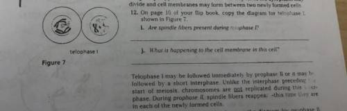 1.Are spindle fibers present during telophase 1?

2.What is happening to the cell membrane in this