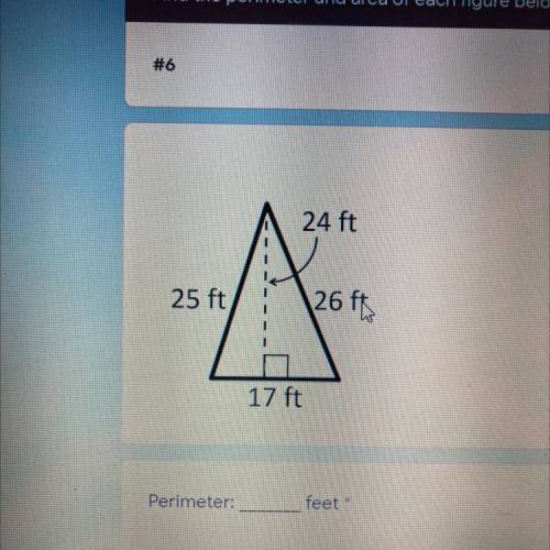 What is the perimeter of this