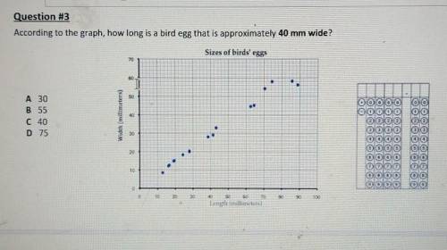 According to the graph how long is a bird egg that is approximately 40mm wide​