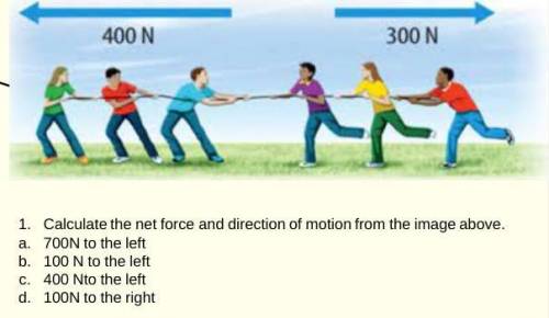 Calculate the net force and direction of motion from the image above.

700N to the left
100 N to t