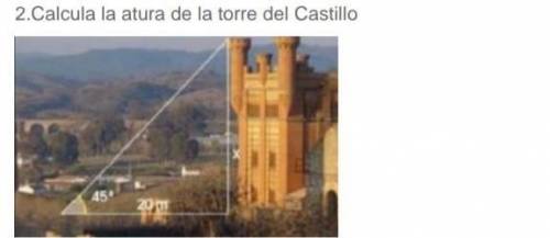¿Cual es la altura de la torre del castillo? ​