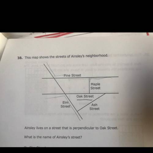 Ainsley lives on a street that is perpendicular to Oak Street.

 
What is the name of Ainsley's str