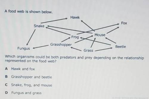 A food web is shown below. Hawk Fox Snake Mouse Frog Grasshopper Beetle Fungus Grass Which organism
