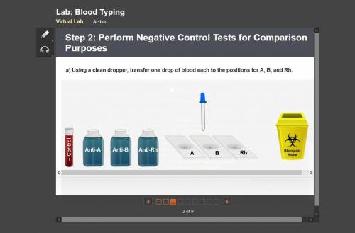 Step 2: Perform Negative Control Tests for Comparison Purposes

a) Using a clean dropper, transfer