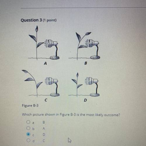 Which picture shown in figure b-3 is the most likely outcome