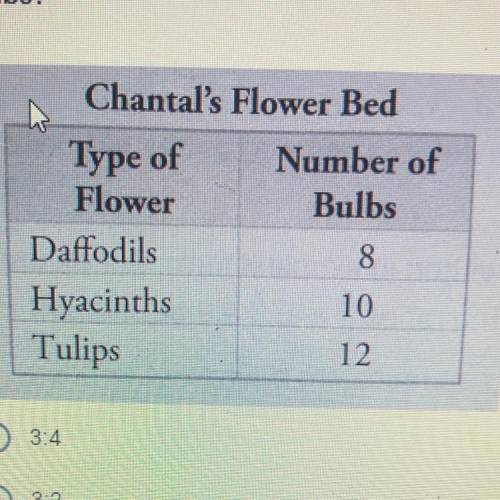 Which ratio compares the number of daffodil bulbs to the number of tulip
bulbs?