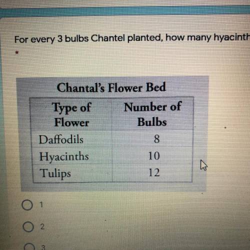 For every 3 bulbs Chantel planted, how many hyacinth bulbs were planted?
