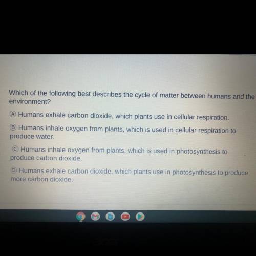 Which of the following best describes the cycle of matter between humans and the environment?