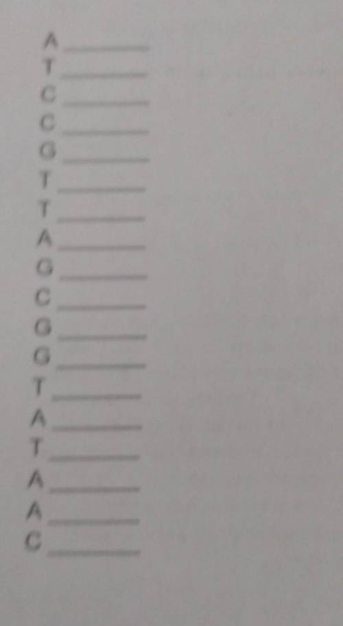DNA CODE Multiple options ​
