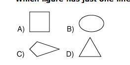 Which figure has just one line of symmetry?
1. B
2. A
3. D
4. C