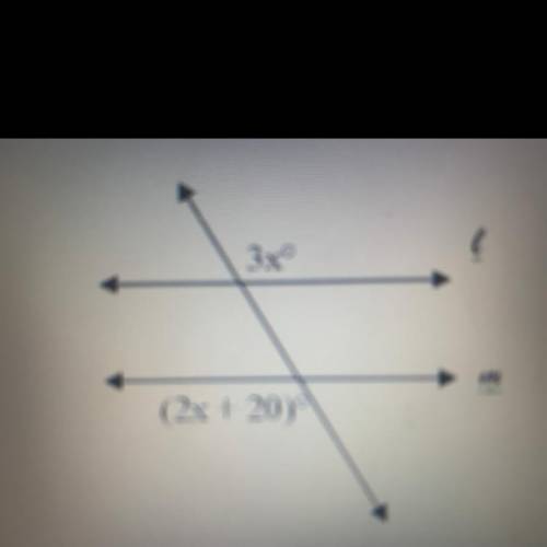 Solve for x transversal