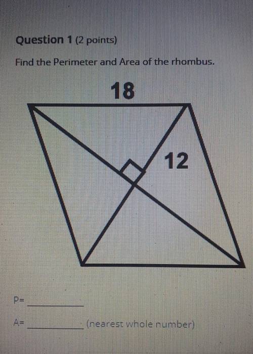 Find the Perimeter and Area of the rhombus.​