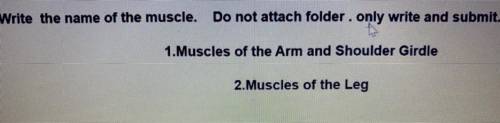 Write the name of the muscle.

1. Muscles of the Arm and Shoulder Girdle
2. Muscles of the leg