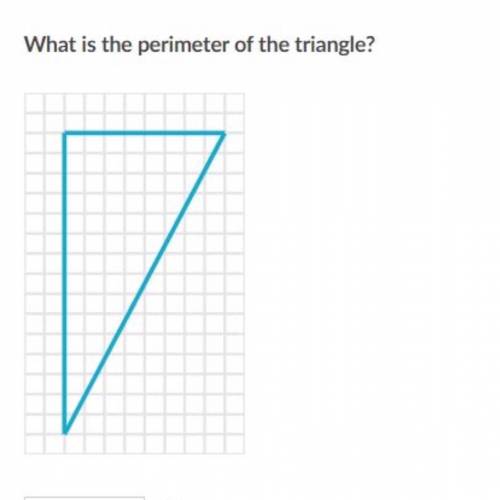 WHAT IS THE PERIMETER OF THE TRIANGLE 
GET THIS RIGHT AND YOU GET 100 POINTS