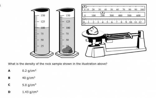 What is the density of the rock sample shown in the illustration above?