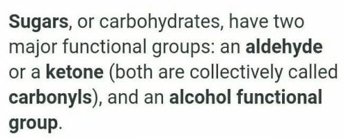Which functional groups are present in carbohydrates?