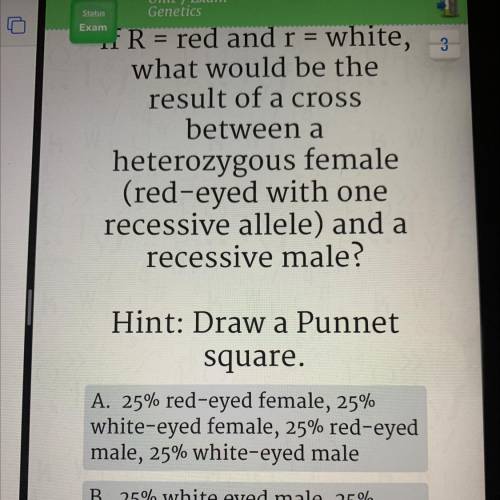 If R = red and r = white, what would be the result of a cross between a heterozygous female (red-ey