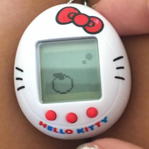 What does this mean on a tamagotchi lol (this is the hello kitty one)