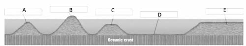 Some of the features that are found on the seafloor are not created by processes at plate boundarie