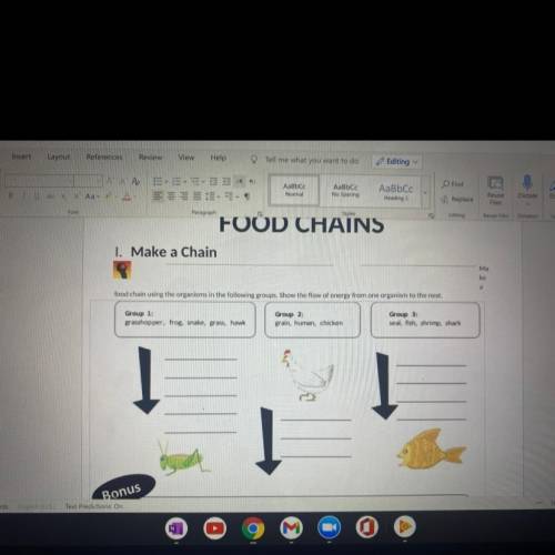 food chain using the organisms in the following groups. Show the flow of energy from one organism t