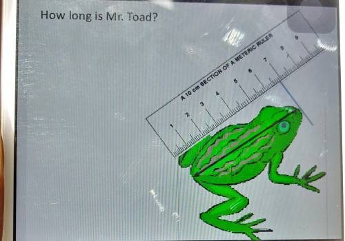 How long is Mr. Toad?A 10 cm SECTION OF A METERIC RULER​