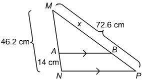 Triangle theoroms, what is the value of x ?
