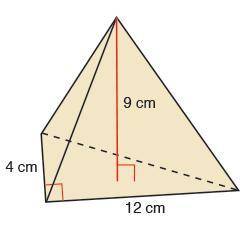 1. Find the surface area of the prism.
2. Find the volume of the pyramid.