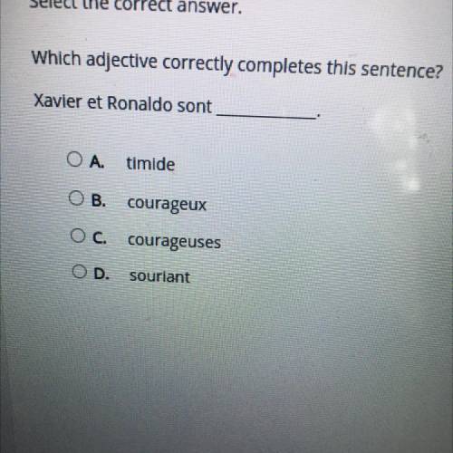 Select the correct answer.

Which adjective correctly completes this sentence?
Xavier et Ronaldo s
