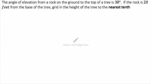 The angle of elevation from a rock on the ground to the top of a tree is 38. if the rock is 20 feet