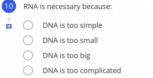 RNA is necessary because, EXPLAIN PLEASE!!