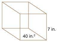 Find the volume of the solid figure shown below. The area of the base is 40 square inches, and the