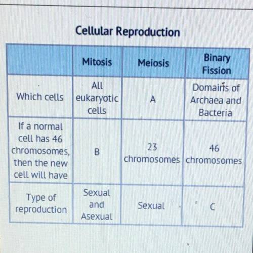 1) Which of these would best fill in the chart for B?

A) O chromosomes
B) 23 chromosomes
C) 46