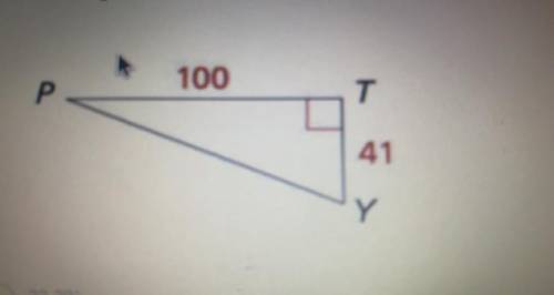 Solve for the angle P to the nearest hundredth.