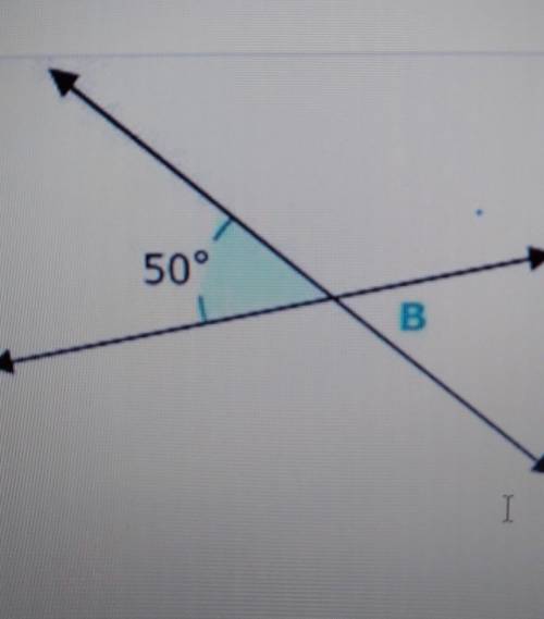 1 Find the measure of angle B ​