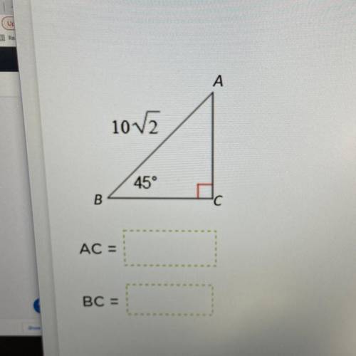 Special right triangle 10 points please help!!