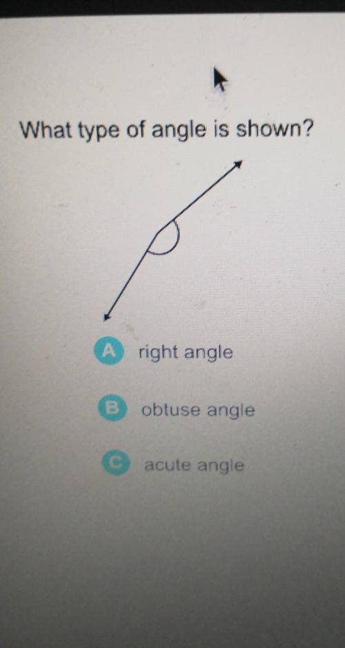 What type of angle is shown? A right angle obtuse angle acute angle Next​